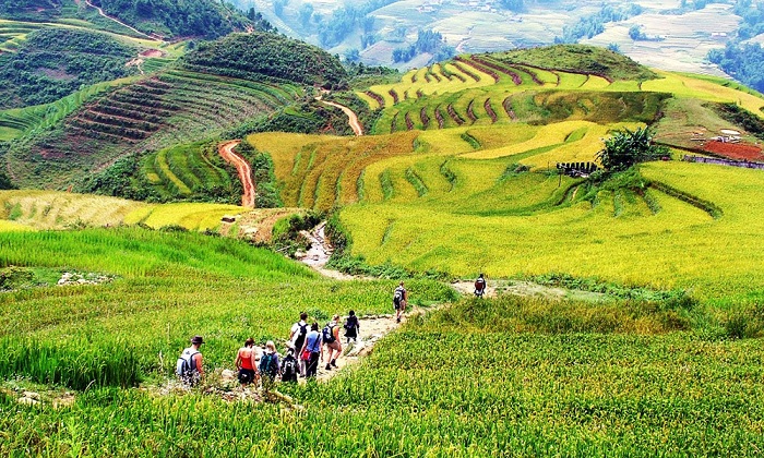 vallee de muong hoa sapa vietnam riziere terrasse